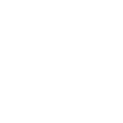Dell Dell