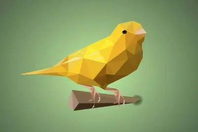 canary