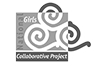 National Girls Collaborative Project